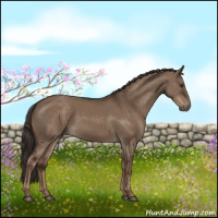 Horse Color:Liver Red Dun Rabicano 