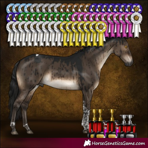 Horse Color:Gray Brown Dun Mushroom Tobiano Brindle 