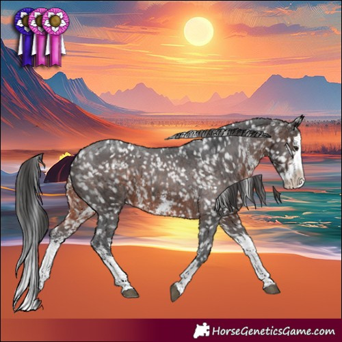 Horse Color:Brown Sabino Splash Snowflake Varnish