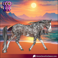 Horse Color:Brown Sabino Splash Snowflake Varnish