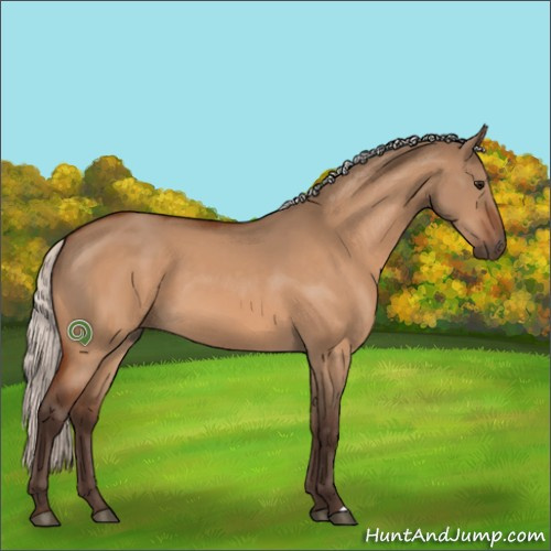 Horse Color:Silver Bay Dun 