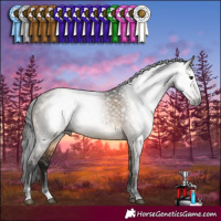 Horse Color:Gray Brown Dun Sabino 