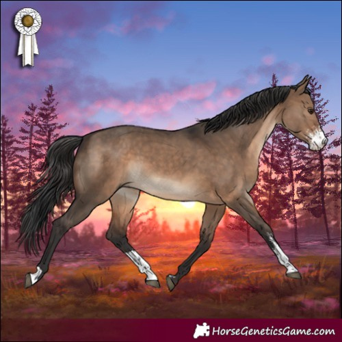 Horse Color:Brown Dun Sabino