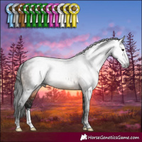 Horse Color:Gray Brown Sabino 