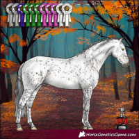 Horse Color:Gray Brown Mushroom Sabino 
