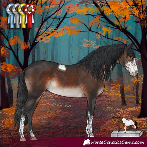 Horse Color:Brown Mushroom Sabino Tobiano 