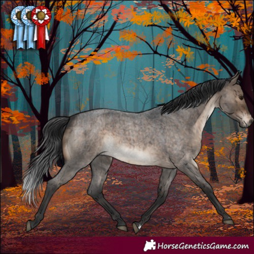 Horse Color:Brown Roan Dun Sabino Brindle 