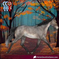 Horse Color:Brown Roan Dun Sabino Brindle 