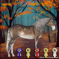 Horse Color:Silver Brown Dun Sabino 
