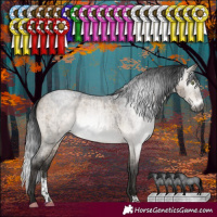 Horse Color:Gray Brown Roan Dun Mushroom Sabino Rabicano Brindle 