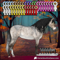 Horse Color:Gray Brown Roan Dun Mushroom Sabino Rabicano Brindle 