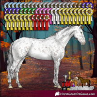 Horse Color:Brown Dun Mushroom Sabino Brindle 