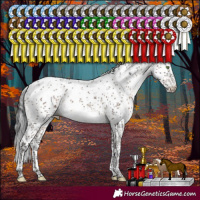 Horse Color:Brown Dun Mushroom Sabino Brindle 