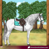 Horse Color:Liver Chestnut Sabino Splash Snowcap 