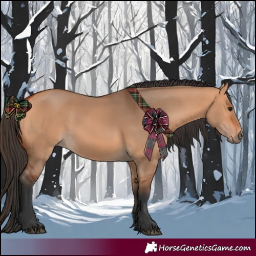 Horse Color:Bay Dun