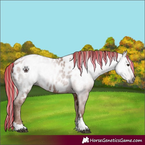 Horse Color:Gray Painted Chestnut Near Leopard 