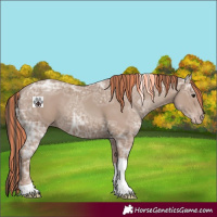Horse Color:Painted Classic Champagne Ice Tobiano 