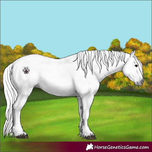 Horse Color:Gray Grullo Tobiano 