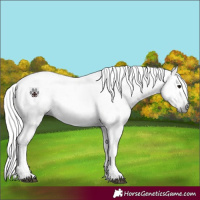 Horse Color:Gray Grullo Tobiano 
