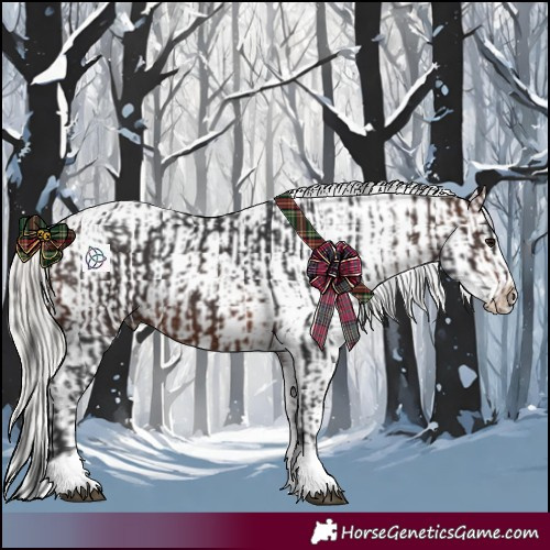 Horse Color:Brown Tobiano  and White Spotted Liver Chestnut Mushroom Sabino Splash Snowcap 