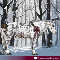 Horse Color:Brown Tobiano  and White Spotted Liver Chestnut Mushroom Sabino Splash Snowcap 