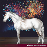 Horse Color:Gray Liver Red Dun Sabino Appaloosa Brindle  and White Spotted Silver Brown Dun Rabicano Brindle 