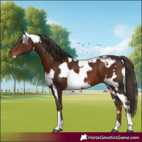 Horse Color:Liver Red Dun Appaloosa Brindle  and Liver Chestnut 