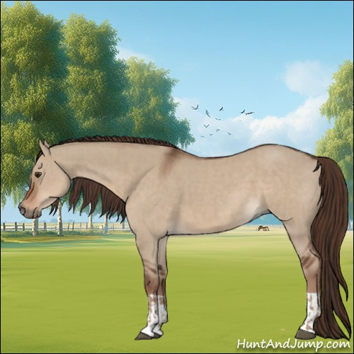 Horse Color:Liver Red Dun  and Liver Red Dun 