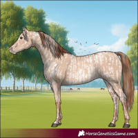 Horse Color:Liver Red Dun Near Leopard Brindle  and Gold Champagne Dun 
