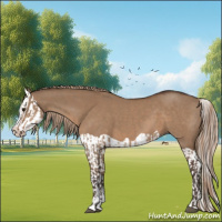 Horse Color:Liver Red Dun Splash  and Liver Red Dun Splash 