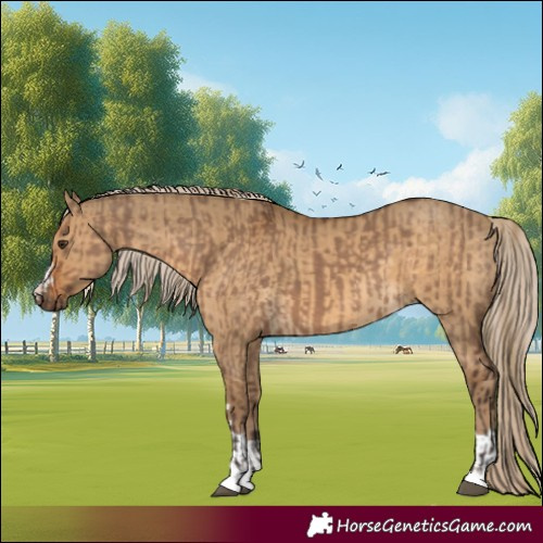 Horse Color:Liver Red Dun and Chocolate Palomino Dun