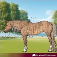 Horse Color:Liver Red Dun  and Chocolate Palomino Dun 