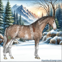 Horse Color:White Spotted Silver Brown Dun Sabino 