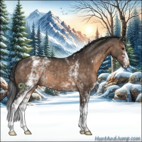 Horse Color:White Spotted Brown Dun