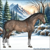 Horse Color:White Spotted Brown Dun Sabino 