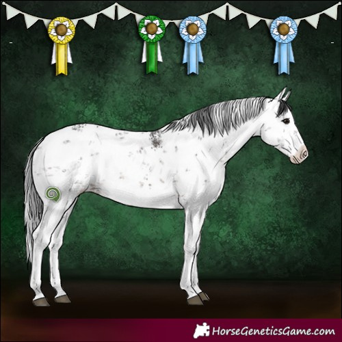 Horse Color:White Spotted Brown Sabino 