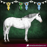 Horse Color:White Spotted Brown Sabino