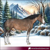 Horse Color:Brown Dun Sabino