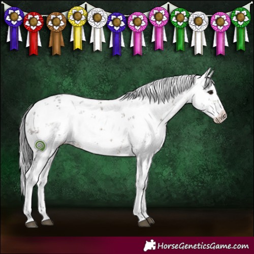 Horse Color:White Spotted Brown Dun Sabino 