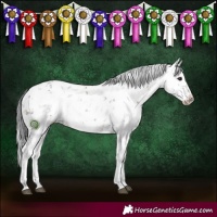 Horse Color:White Spotted Brown Dun Sabino