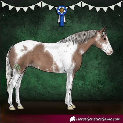 Horse Color:Silver Black Sabino Tobiano 