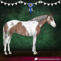 Horse Color:Silver Black Sabino Tobiano