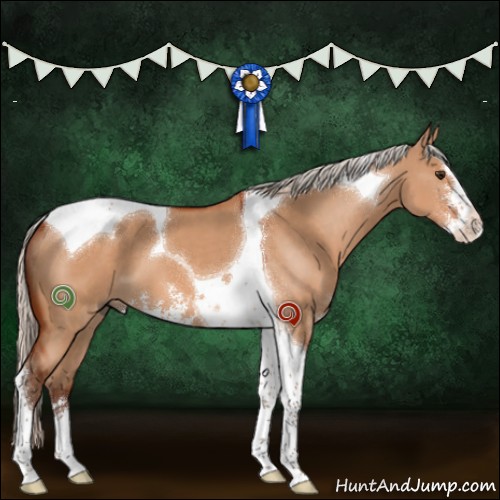 Horse Color:Silver Brown Dun Sabino Tobiano 