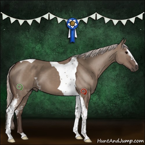 Horse Color:White Spotted Silver Grullo Tobiano 