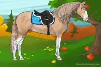 Horse Color:Gold Champagne Splash 