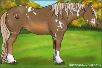Horse Color:White Spotted Chocolate Palomino Tobiano