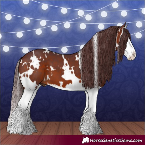 Horse Color:White Spotted Chocolate Brown Splash