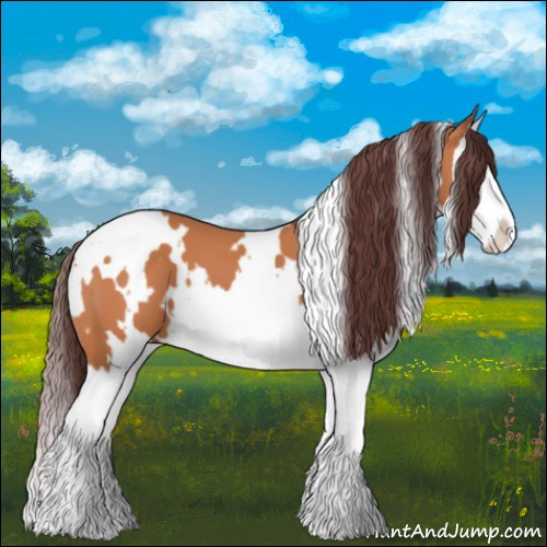 Horse Color:White Spotted Chocolate Bay Splash