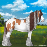 Horse Color:White Spotted Chocolate Bay Splash 