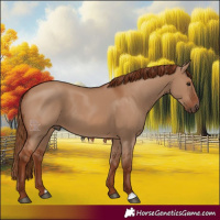 Horse Color:Red Dun 
